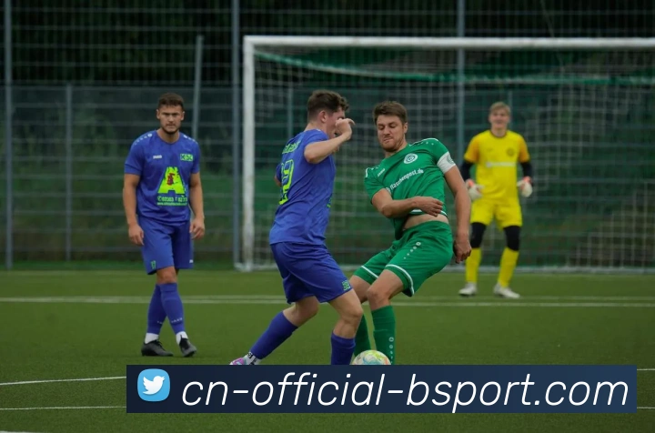 B体育APP 封面图